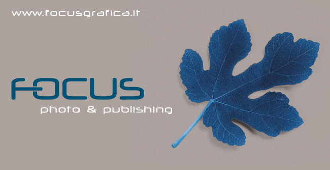 Focusgrafica